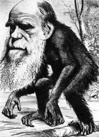 Monkeying with Darwin