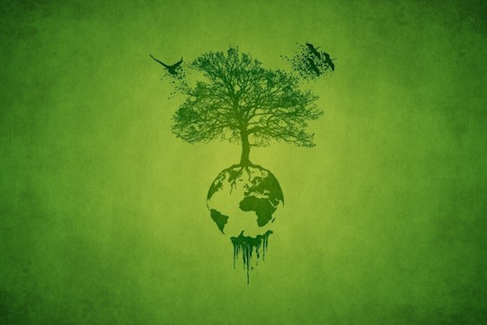 | Earth Tree | MR Online