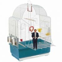 A Li’l Orange President, a product of trumPets®, first name in Trump-survival products!, stands on his cage door. | SUSIE DAY
