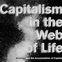capitalism in the web of life