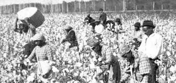 | Slaves picking cotton | MR Online