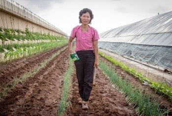 | Female worker at a North Korean farm | MR Online