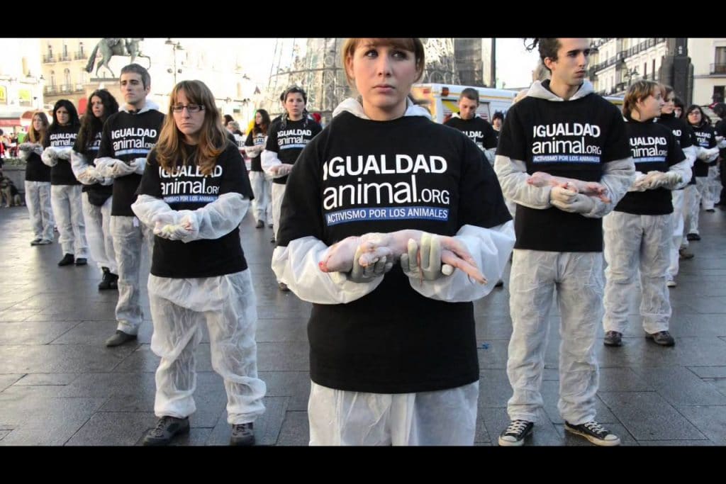 | Igualdad Animal Animal Equality stages animal rights rally in Spain | MR Online