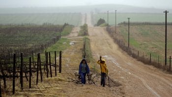| APTOPIX South Africa Farmworker Abuse | MR Online