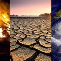 Effects | Facts – Climate Change- Vital Signs of the Planet