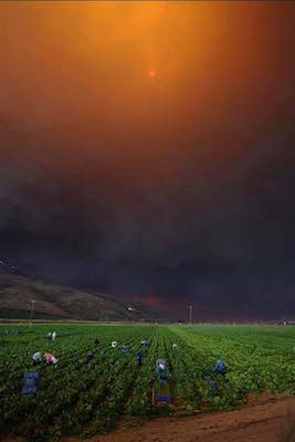 | The picture above taken by Andy Holzman Southern California News Service at a farm in Camarillo | MR Online