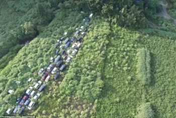 | This weed covered land was once a busy road Victims of the disaster abandoned their cars to escape | MR Online