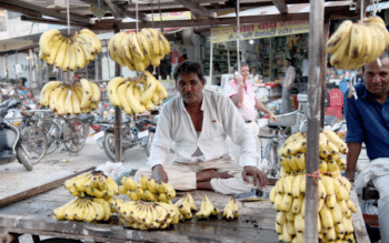 | Fruit vendor in Fatehabad Haryana July 2018 Photo credits Celina della Croce | MR Online