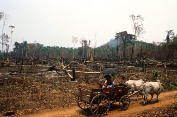 | Charred forest in Amazonia Brazil in August 1989 Since the 1930s the countrys right wing governments have called for the settling of the rainforest in nationalist terms Photo Antonio RibeiroGamma Rapho via Getty Images | MR Online