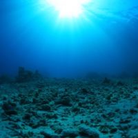 | When carbon emissions pass a critical threshold it can trigger a spike like reflex in the carbon cycle in the form of severe ocean acidification that lasts for 10000 years according to a new MIT study Stock image | MR Online