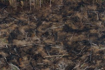 | Views of deforestations aftereffects in the Amazon on Sept 24 2016 The rate of deforestation in Brazil peaked in 2004 and entered a decade of decline but it began to creep up again in 2012 driven by the global commodity boom and an expanding agribusiness sectorPhotos Gabriel Uchida | MR Online