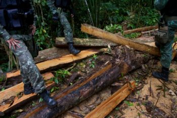 | On patrol with FUNAI and members of the Uru Eu Wau Wau environmental police take stock of the damage wrought by illegal loggers in the tribes territory in Rondônia on April 17 2018 According to the Uru Eu Wau Wau a group of 15 men with machetes can clear lines through 20 kilometers of forest in a weekPhotos Gabriel Uchida | MR Online