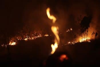 | A fire burns in highway margins in the city of Porto Velho Rondonia state part of Brazil | MR Online's Amazon, Sunday, Aug. 25, 2019. (AP Photo/Eraldo Peres)