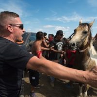 Native American protesters and their supporters are confronted by private security guards at a work site for the Dakota Access pipeline, near Cannon Ball, N.D., on Sept. 3, 2016. Photo: Robyn Beck/AFP/Getty Images