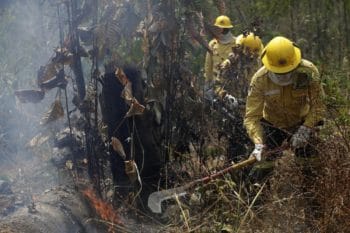 | Firefighters work to put out fires in the Vila Nova Samuel region along the road to the National Forest of Jacunda near to the city of Porto Velho Rondonia state part of Brazils Amazon Sunday Aug 25 2019 AP PhotoEraldo Peres | MR Online