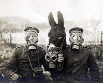 | German soldiers their mule and tear gas 1916 | MR Online