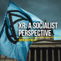 XR- A Socialist Perspective