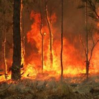Bushfires in Australia [Photo- Wikimedia]