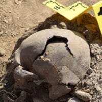 Skull from a mass grave in Dasht-e-Leili