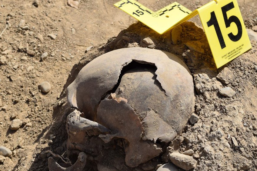 | Skull from a mass grave in Dasht e Leili | MR Online