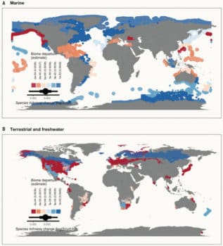 | Changes in ecosystems | MR Online' species richness, with blue representing areas that are increasing in diversity, and red and pink showing areas that are experiencing declines. BLOWES ET AL, SCIENCE 2019