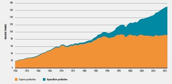 | Aquaculture grew 10 a year in the late 20th century and is growing 58 a year now UN Food and Agriculture Organization The State of the World Fisheries and Aquaculture 2018 2 | MR Online