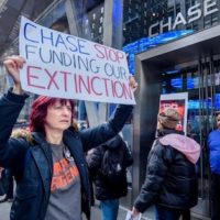 | Protesters picket outside a Chase Bank branch in November 2019 An Extinction Rebellion campaigner released a leaked document from the bank Thursday in which JP Morgan Chase economists warned the companys investment in fossil fuels is contributing to the climate crisis Photo Erik McGregorLightRocket via Getty Images | MR Online
