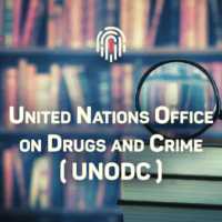 According to the most recent report published by the United Nations Office on Drugs and Crime (UNODC), revenue from the drug trade is estimated to be at least US $320 billion in 2017. Of this, at least 95 percent is allegedly made in the recipient countries, i.e. US, Canada and Europe, while the remaining 5 percent is made by the producing countries. (15yUltimo)