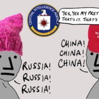 Liberal NPCs Hate Russia, Conservative NPCs Hate China