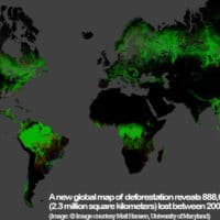 A new global map of deforestation reveals 888,000 square miles (2.3 million square kilometers) lost between 2000 and 2012.