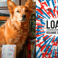 Loaded: A Disarming History of the 2nd Amendment by Roxanne Dunbar-Ortiz