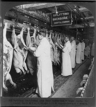 | Chicago Slaughterhouse 1906 | MR Online