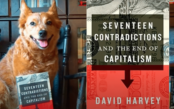 | 17 Contradictions and the End of Capitalism by David Harvey Review ft Mad Blender | MR Online