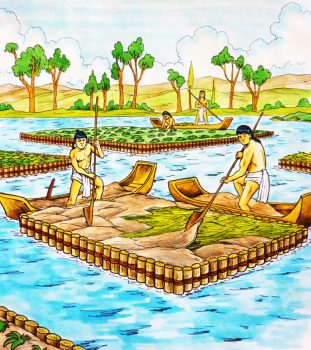 | Depiction of Chiampas a highly productive form of aquaculture practiced in the pre Columbian Americas | MR Online
