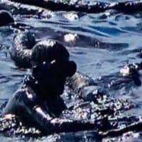 | Mauritius oil spill | MR Online