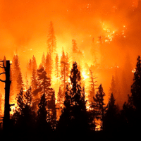 Media Blame Gender Reveal Parties, Not Climate Change, for West Coast Fires