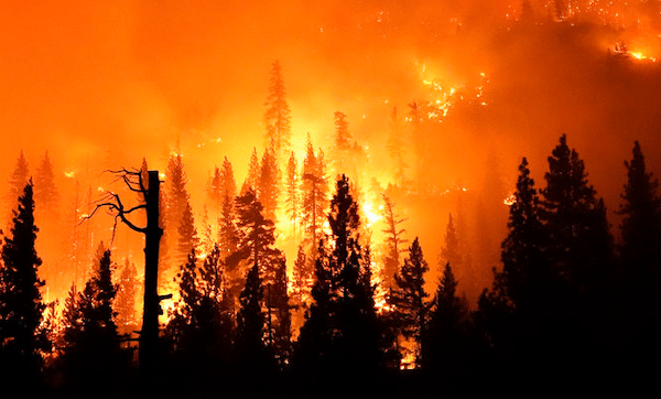 | Media Blame Gender Reveal Parties Not Climate Change for West Coast Fires | MR Online