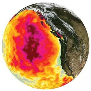 | By early 2015 The Blob covered a vast area in the northeastern Pacific Colors show variation from normal water temperatures Source CL Gentlemann et al Geophysical Research Letters December 2016 | MR Online