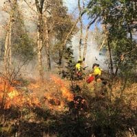 Prescribed fire on the Yurok Reservation, California