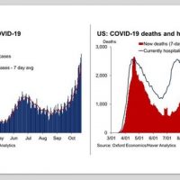 COVID Infections/Deaths