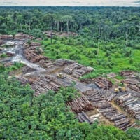 Illegal logging on Pirititi indigenous Amazon lands. (Photo: Flickr - quapan)