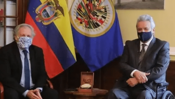 | The OAS Ecuadors neoliberal president are looking to suspend elections so as to cling on to power and stop the coming victory of the Correísta left | Photo TwitterOVargas52 | MR Online