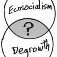 Ecosocialism versus degrowth: a false dilemma