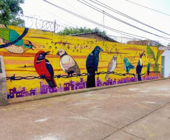 | Colectivo Culturas Vivas Plumas en cantos Feathers in song Tegucigalpa Honduras 2020 | MR Online