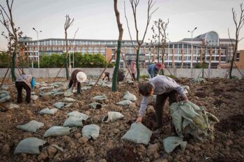 | Workers fertilize soil and plant trees at the former site of Jiangsu Changlong Chemicals Co Ltd Jiangsu Huada Chemical Group Co Ltd and Changzhou Chang Yu Chemical Co Ltd in Changzhou Jiangsu province April 19 2016 Zhou Pinglang for Sixth Tone | MR Online