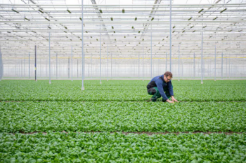 | The Climeworks Gebr Meier Greenhouse in Hinwil Zurich CO2 increases crop yield from direct air capture Such projects demonstrate exciting possible applications for captured carbon but there is no prospect they will have any measurable impact on reducing global warming Orjan EllingvagAlamy | MR Online