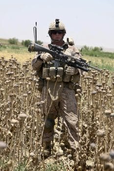 | A US Marine stands in a poppy field during a foot patrol at Sangin Afghanistan Photo | DVIDS | MR Online