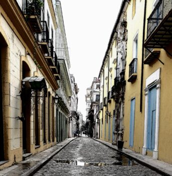 | Havana 2019 | MR Online