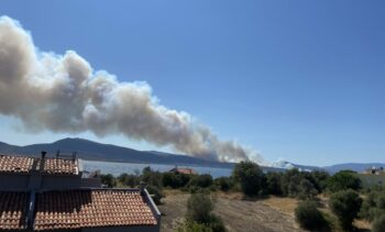 | Forest fire in Urla Balıklıova | MR Online