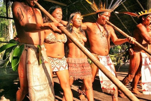 | Tukanos from Amazon rainforest | MR Online